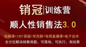 爆款!销冠训练营3.0之顺人性销售法,全方位解决销售难题、可落地、可执行、有结果-搞薯条网