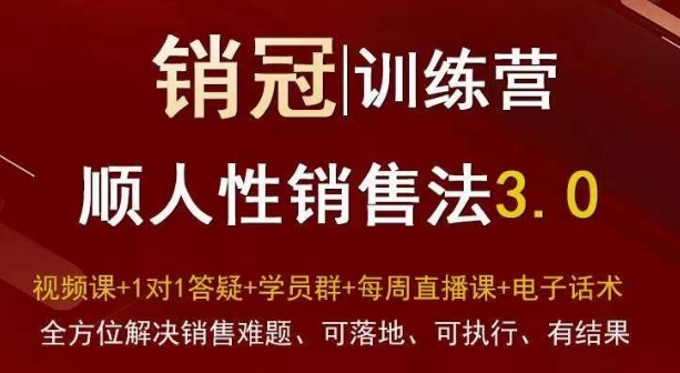 爆款！销冠训练营3.0之顺人性销售法，全方位解决销售难题、可落地、可执行、有结果-森森项目库