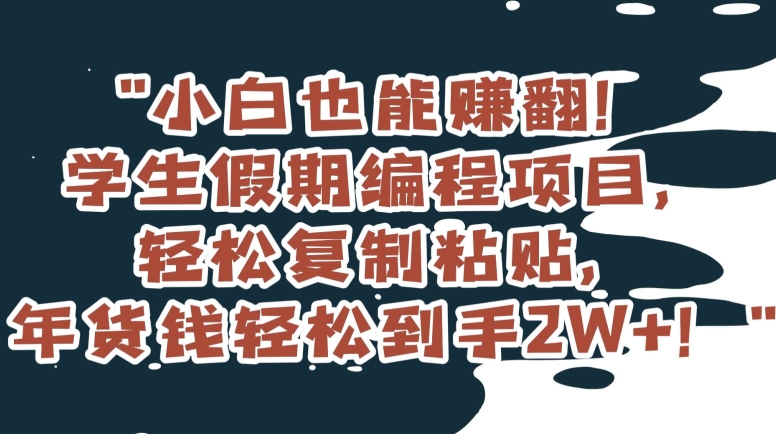 小白也能赚翻！学生假期编程项目，轻松复制粘贴，年货钱轻松到手2W+【揭秘】-森森项目库