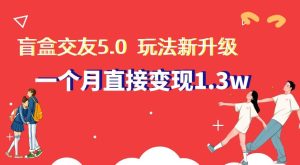 盲盒交友5.0，玩法全新升级，一个月直接变现1.3W，新手小白轻松上手【揭秘】-搞薯条网