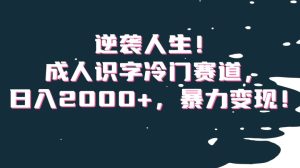 逆袭人生!成人识字冷门赛道,日入2000+,暴力变现!【揭秘】-搞薯条网