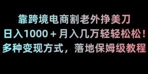 靠跨境电商割老外挣美刀,日入1000+月入几万轻轻松松!多种变现方式,落地保姆级教程【揭秘】-搞薯条网