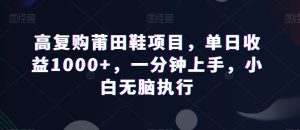 高复购莆田鞋项目,单日收益1000+,一分钟上手,小白无脑执行-搞薯条网