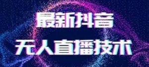 2024最新女生无声版无人直播全套教程,疯狂撸音浪【揭秘】-搞薯条网