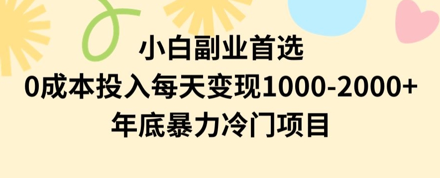 小白副业首选，0成本投入，每天变现1000-2000年底暴力冷门项目【揭秘】-森森项目库