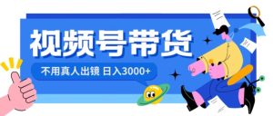 视频号带货,日入3000+,不用真人出镜-搞薯条网
