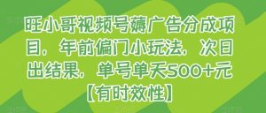 旺小哥视频号薅广告分成项目,年前偏门小玩法,次日出结果,单号单天500+元【有时效性】-搞薯条网
