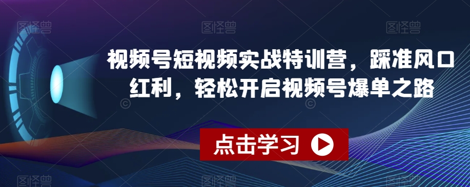 视频号短视频实战特训营，踩准风口红利，轻松开启视频号爆单之路 - 搞薯条网-搞薯条网