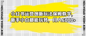 小红书运营创新玩法保姆教学,新手小白都能玩转,月入6000+【揭秘】-搞薯条网