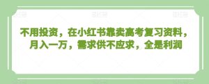 不用投资,在小红书靠卖高考复习资料,月入一万,需求供不应求,全是利润【揭秘】-搞薯条网