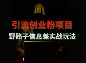 【引流创业粉】野路子信息差玩法实战教学-搞薯条网