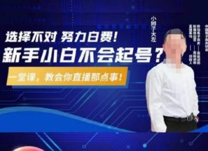 大左教您从0到1做直播带货，选择不对，努力白费，5小时课程搞定那点事，解决你起号问题-搞薯条网