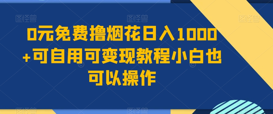 0元免费撸烟花日入1000+可自用可变现教程小白也可以操作，永久免费更新链接 - 搞薯条网-搞薯条网