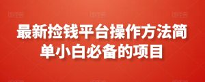 最新捡钱平台操作方法简单小白必备的项目-搞薯条网