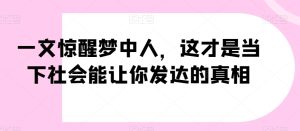 一文惊醒梦中人,这才是当下社会能让你发达的真相【公众号付费文章】-搞薯条网