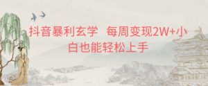 抖音暴利玄学,每周变现2W+小白也能轻松上手-搞薯条网