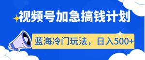 视频号加急搞钱计划,蓝海冷门玩法,日入500+【揭秘】-搞薯条网