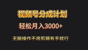 视频号流量分成,不用剪辑,有手就行,轻松月入2000+-搞薯条网