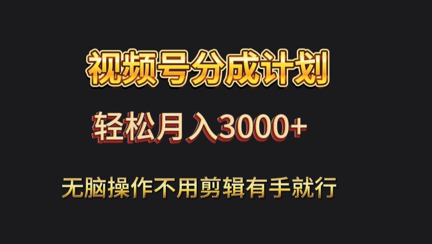 视频号流量分成，不用剪辑，有手就行，轻松月入2000+-森森项目库
