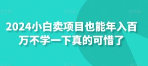 2024小白卖项目也能年入百万不学一下真的可惜了-搞薯条网