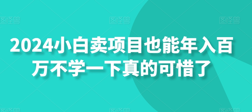 2024小白卖项目也能年入百万不学一下真的可惜了 - 搞薯条网-搞薯条网