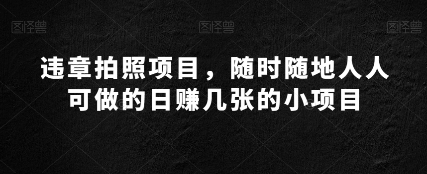 违章拍照项目，随时随地人人可做的日赚几张的小项目 - 搞薯条网-搞薯条网