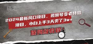 2024最新风口项目,视频号变老特效项目,电脑小白上手3天卖了3w+,保姆级教程【揭秘】-搞薯条网