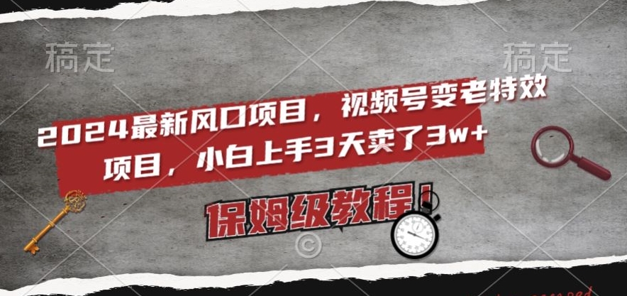 2024最新风口项目，视频号变老特效项目，电脑小白上手3天卖了3w+，保姆级教程【揭秘】-森森项目库