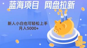 蓝海项目网盘拉新,新人小白也可操作,每月收入5000+-搞薯条网