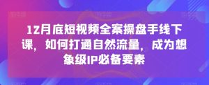 12月底短视频全案操盘手线下课,如何打通自然流量,成为想象级IP必备要素-搞薯条网