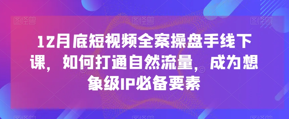 12月底短视频全案操盘手线下课，如何打通自然流量，成为想象级IP必备要素 - 搞薯条网-搞薯条网