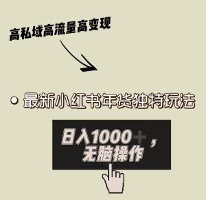 小红书年货独特玩法,高私域高流量高变现,日入1000+小白易上手-搞薯条网