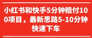 小红书和快手5分钟赔付100项目,最新思路5-10分钟快速下车【仅揭秘】-搞薯条网