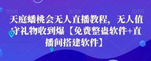 天庭蟠桃会无人直播教程,无人值守礼物收到爆【免费整蛊软件+直播间搭建软件】-搞薯条网