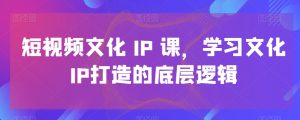 短视频文化IP课,学习文化IP打造的底层逻辑-搞薯条网