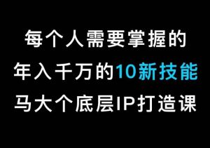 马大个的IP底层逻辑课，​每个人需要掌握的年入千万的10新技能，约会底层IP打造方法！-搞薯条网