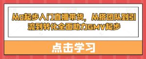 从0起步入门直播带货,从搭团队到引流到转化全面助力GMV起步-搞薯条网