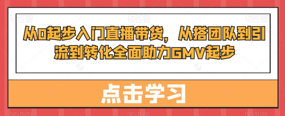 从0起步入门直播带货，​从搭团队到引流到转化全面助力GMV起步-森森项目库