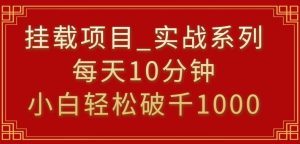 挂载项目，小白轻松破1000，每天10分钟，实战系列保姆级教程【揭秘】-搞薯条网