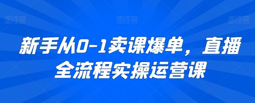 新手从0-1卖课爆单，直播全流程实操运营课 - 搞薯条网-搞薯条网