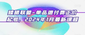 臻曦联盟-单品微付费正价起号,2024年1月最新课程-搞薯条网