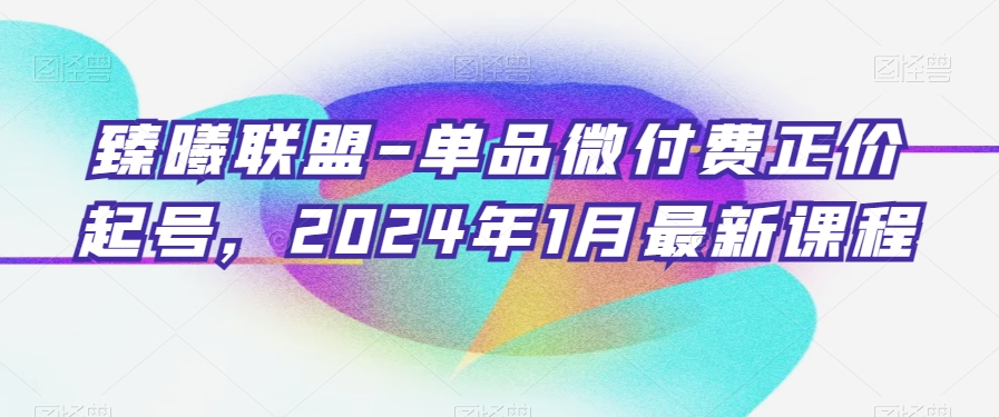 臻曦联盟-单品微付费正价起号，2024年1月最新课程-森森项目库