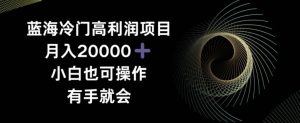 蓝海冷门高利润项目月入2000，小白也可操作有手就会-搞薯条网