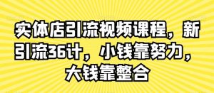 实体店引流视频课程,新引流36计,小钱靠努力,大钱靠整合-搞薯条网
