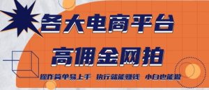 各大电商平台高佣金网拍,操作简单易上手,执行就能赚钱,小白也能做-搞薯条网