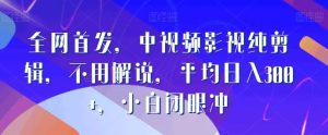 全网首发,中视频影视纯剪辑,不用解说,平均日入300+,小白闭眼冲-搞薯条网