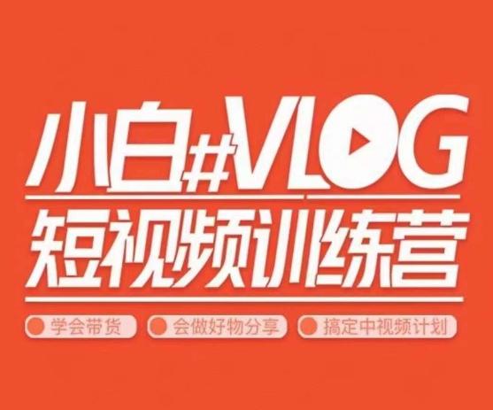 小呆说视–小白VLOG短视频训练营，学会带货、好物、直播、中视频-森森项目库