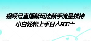 视频号直播新玩法新手流量扶持小白轻松上手日入600+【揭秘】-搞薯条网