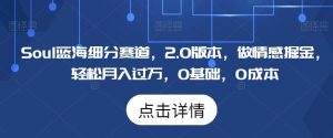Soul蓝海细分赛道,2.0版本,做情感掘金,轻松月入过万,0基础,0成本-搞薯条网