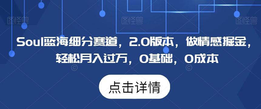 Soul蓝海细分赛道，2.0版本，做情感掘金，轻松月入过万，0基础，0成本-森森项目库
